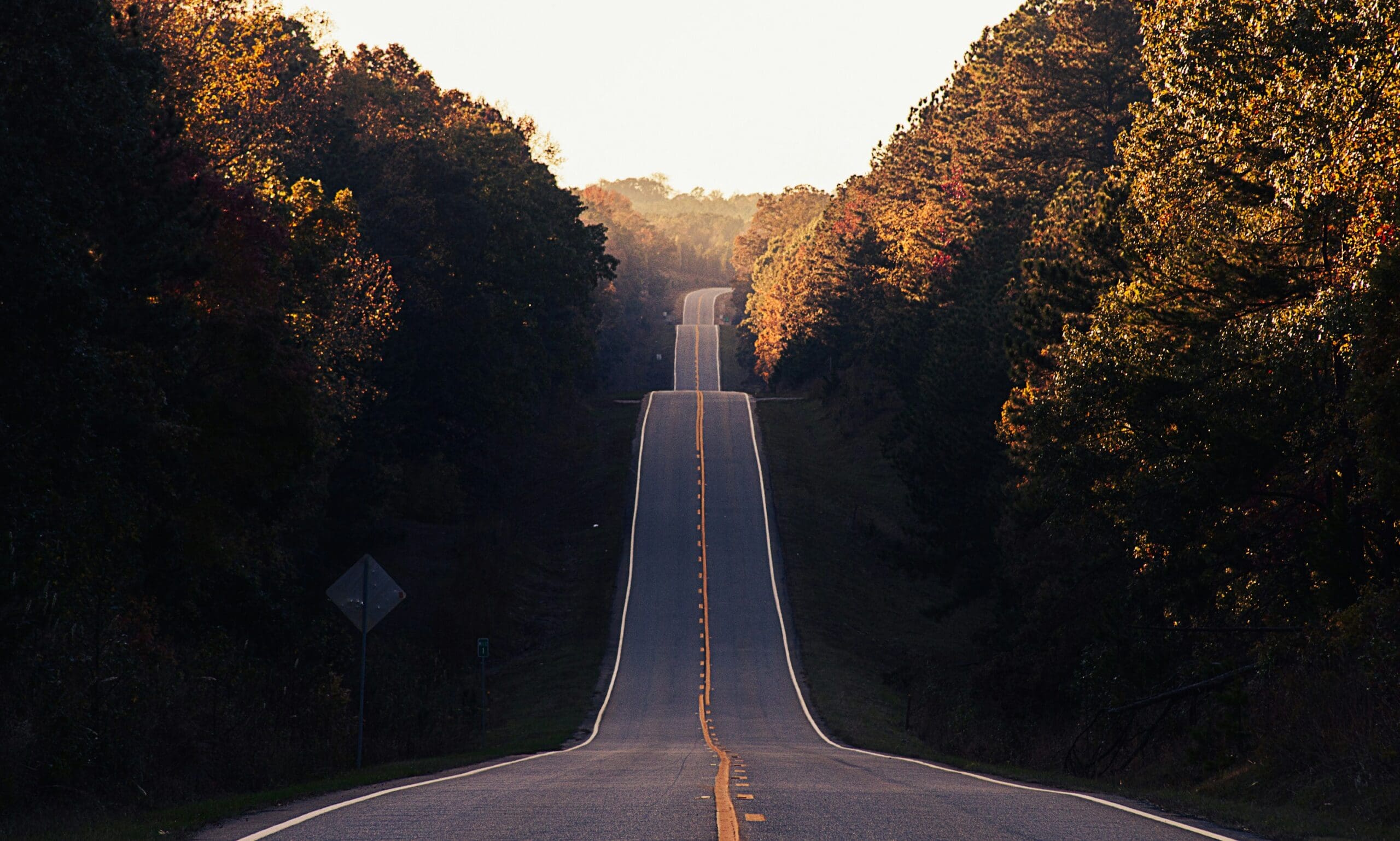 a long winding road with forest surrounding both sides