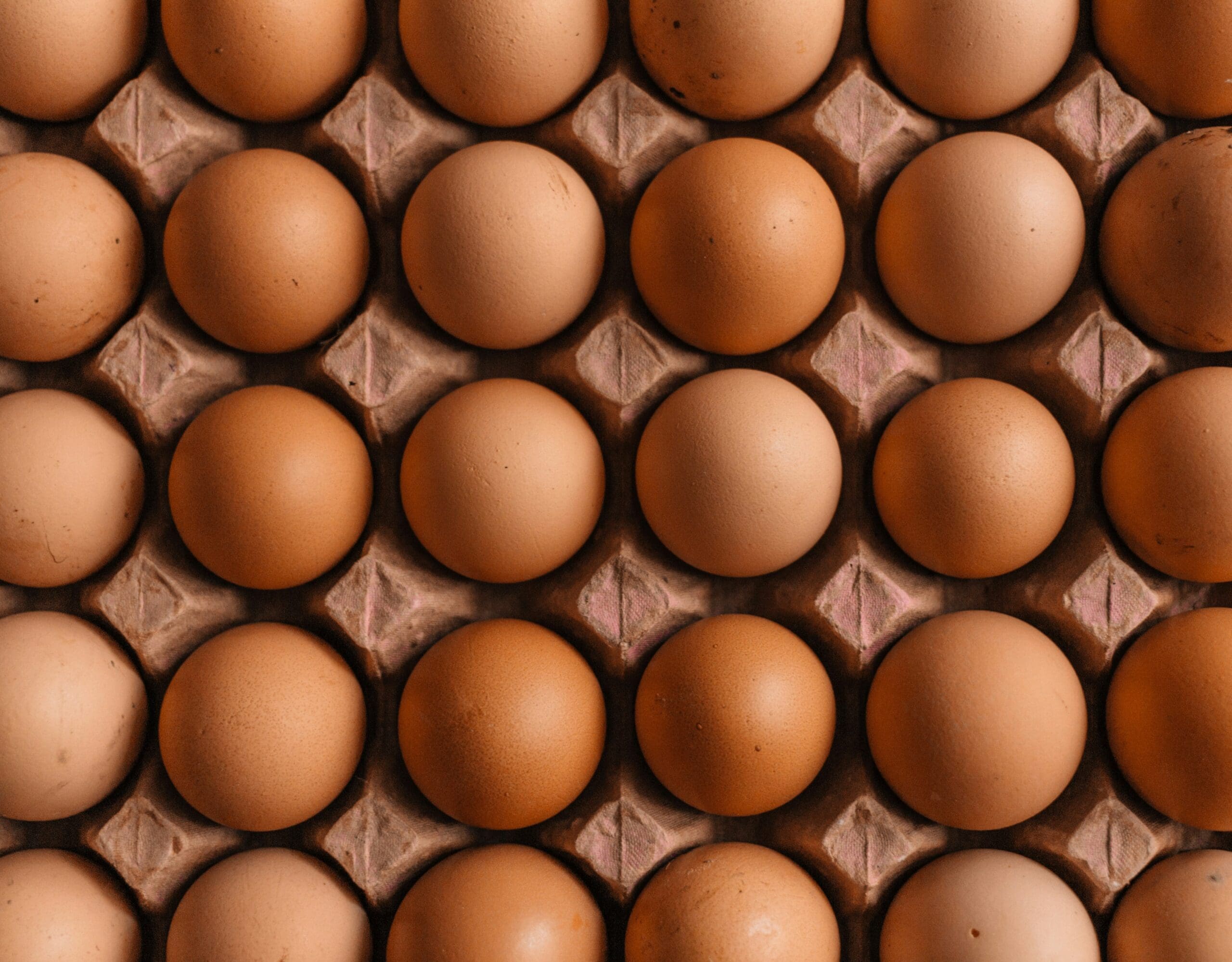 rows of large brown eggs in a brown carton